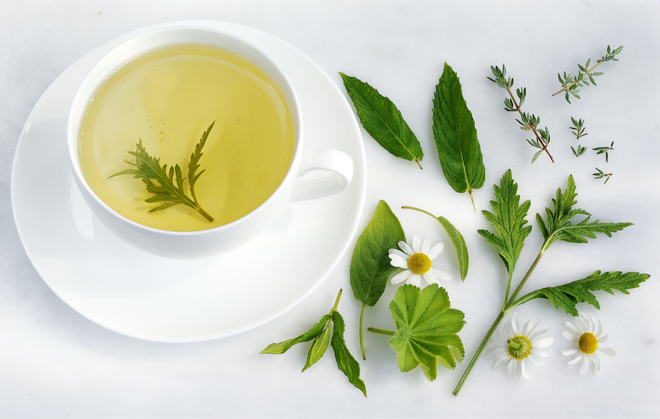 herbs malaysia